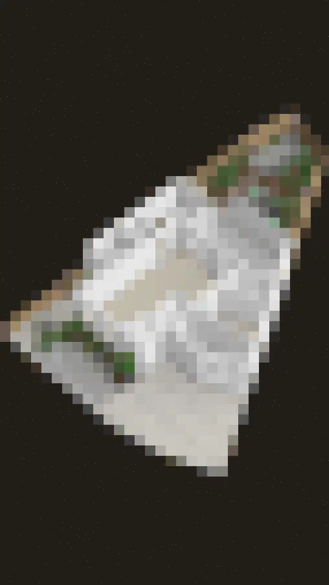 Potbeker 61 Heesch thumbnail 37