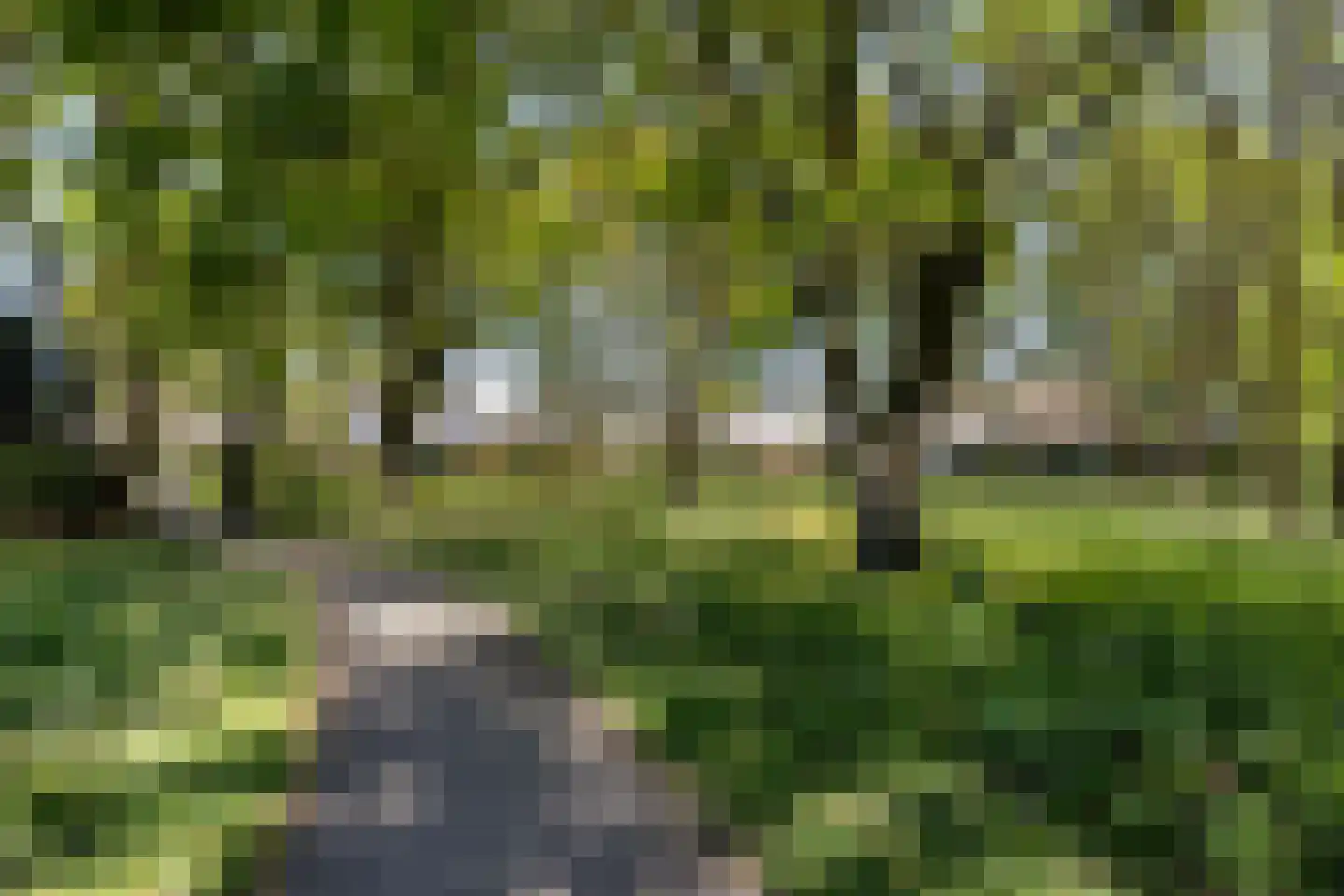 Potbeker 61 Heesch thumbnail 4