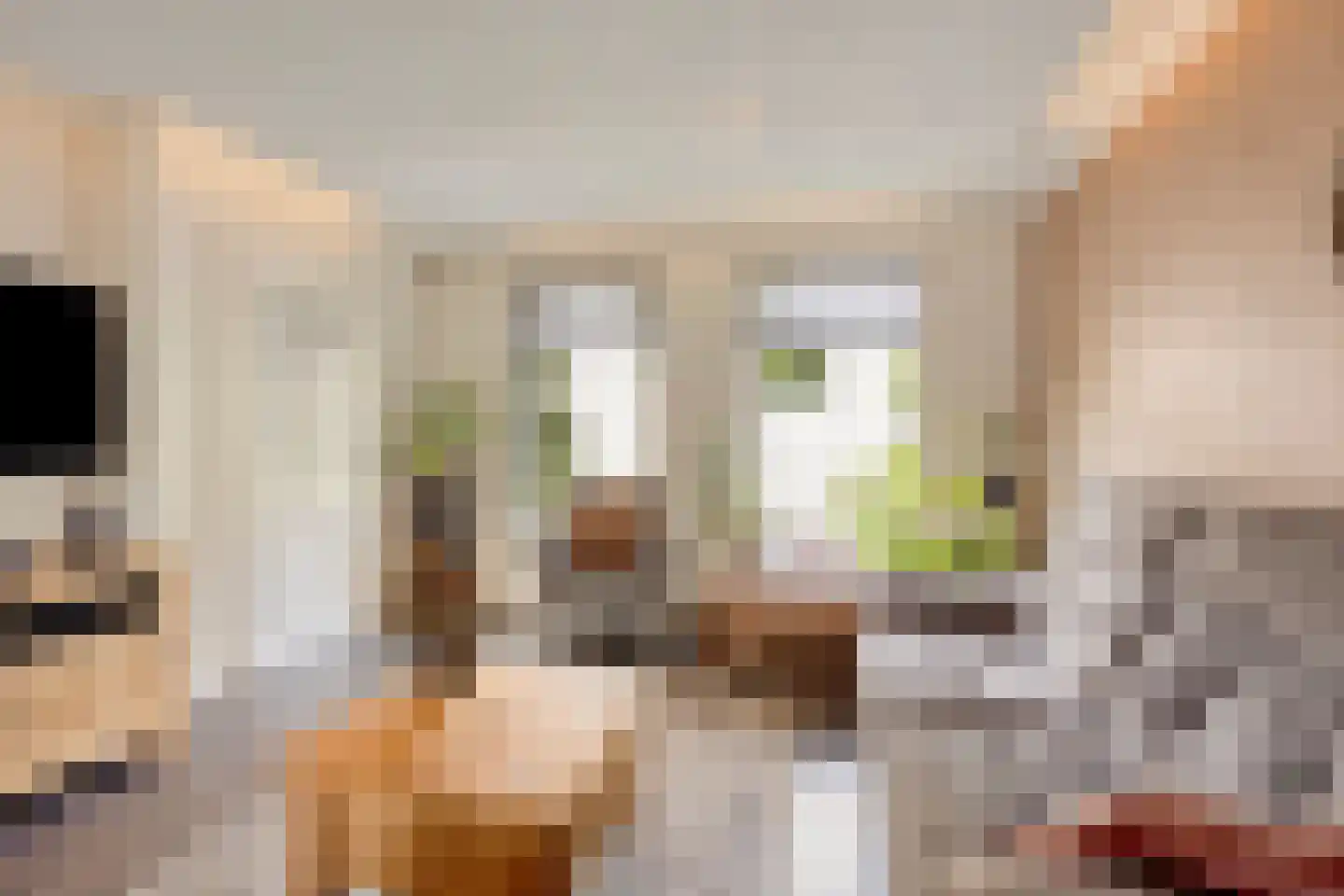 Potbeker 61 Heesch thumbnail 6