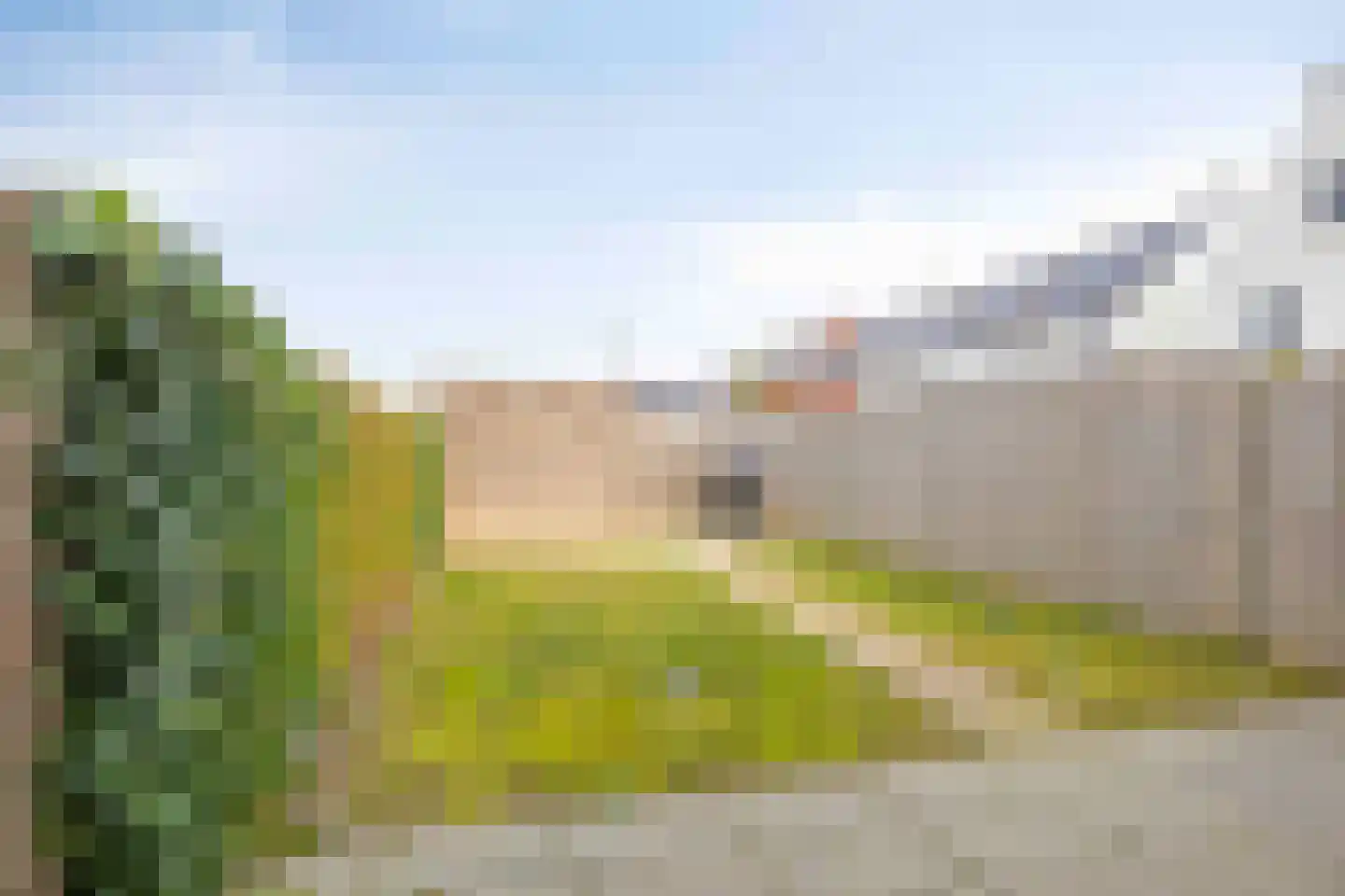 Potbeker 67 Cuijk thumbnail 24