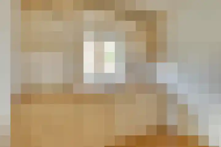 Potbosstraat 6 Deurne thumbnail 13