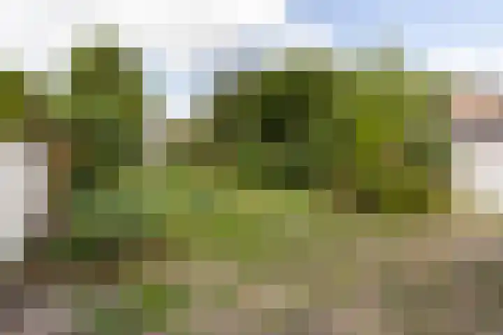 Potbosstraat 6 Deurne thumbnail 6