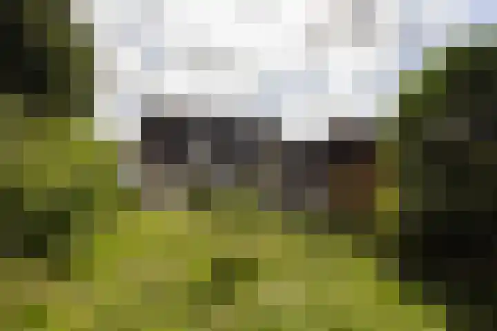 Potbosstraat 6 Deurne thumbnail 7