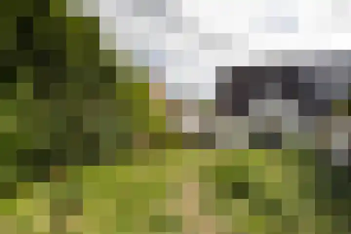 Potbosstraat 6 Deurne thumbnail 8