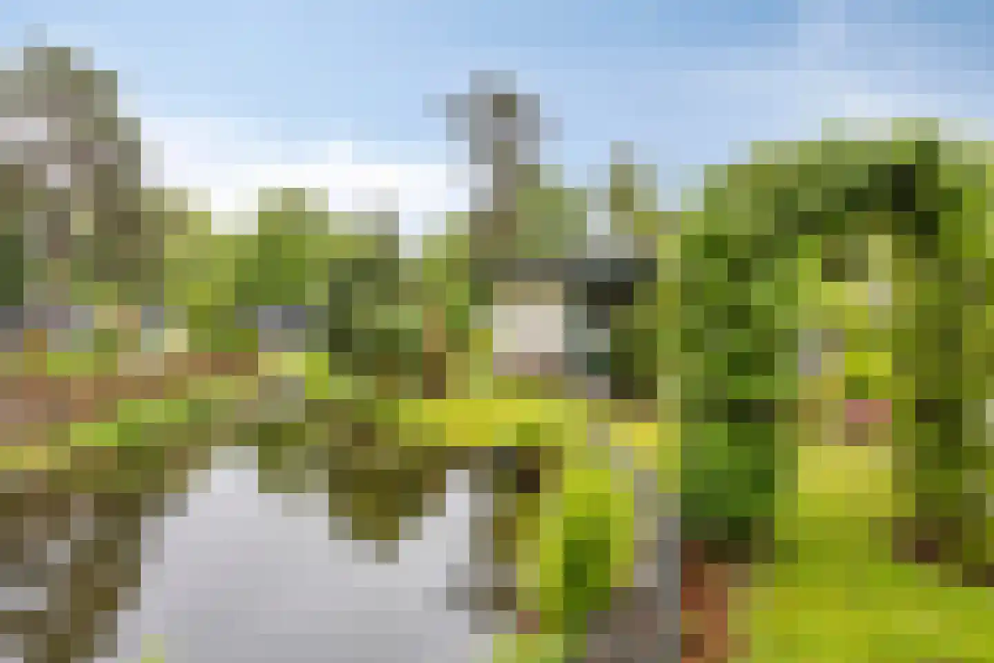 Potdijk 8 C007 Markelo thumbnail 21