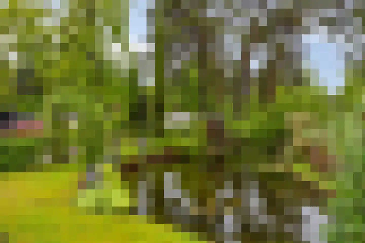 Potdijk 8 C007 Markelo thumbnail 22