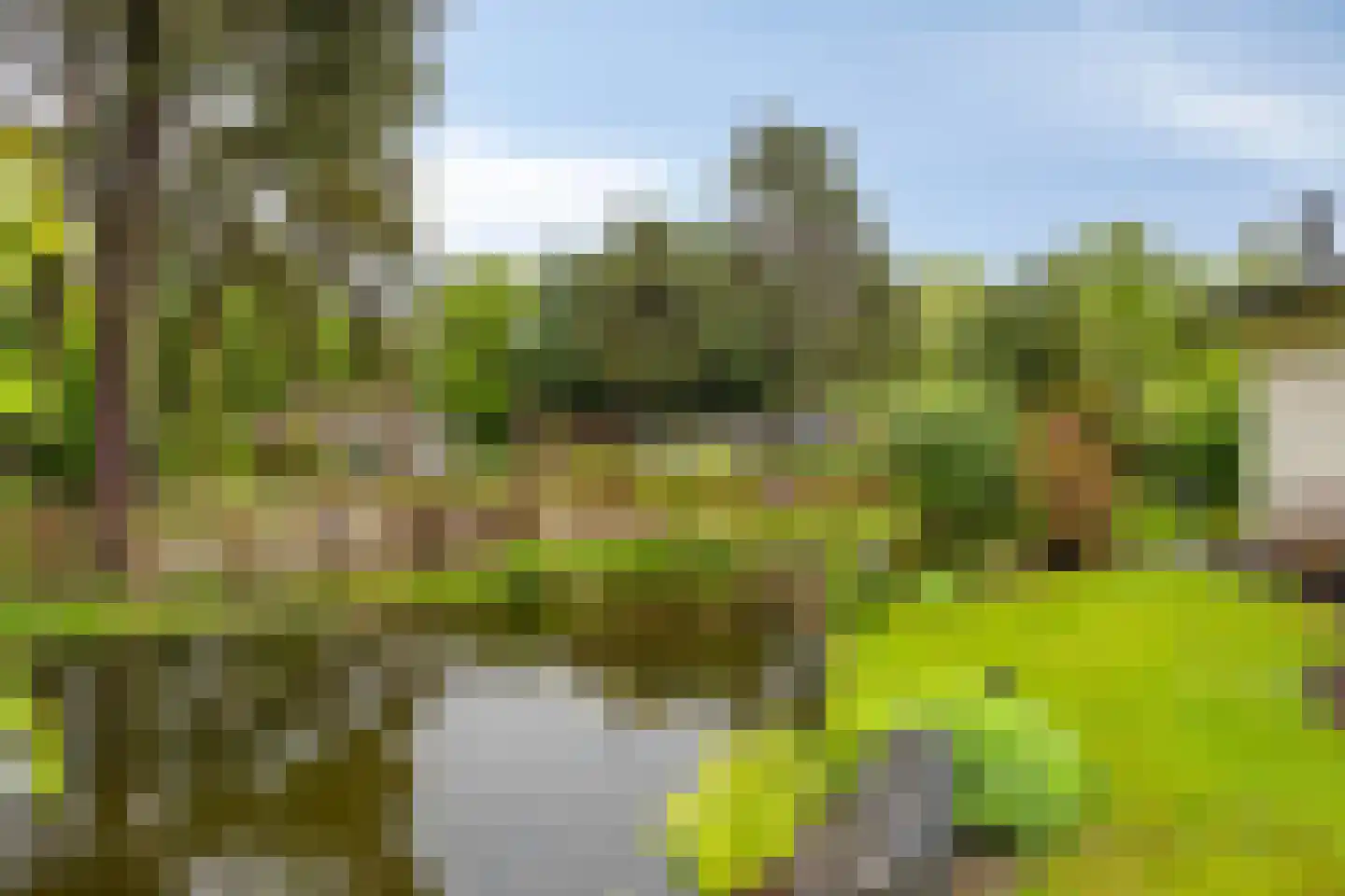 Potdijk 8 C007 Markelo thumbnail 23