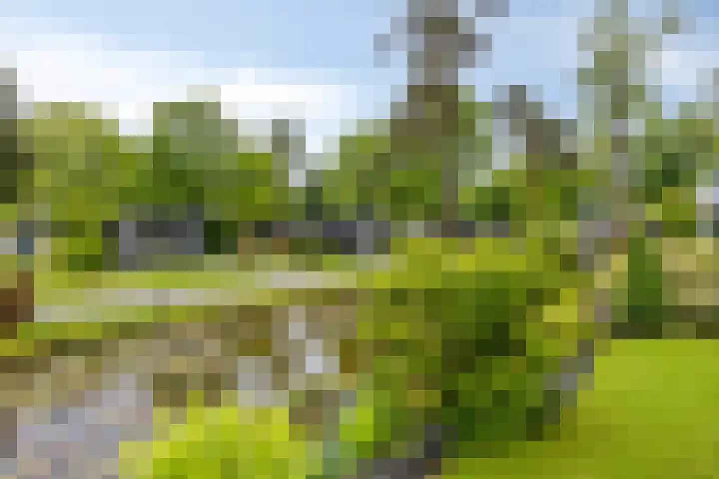 Potdijk 8 C007 Markelo thumbnail 24