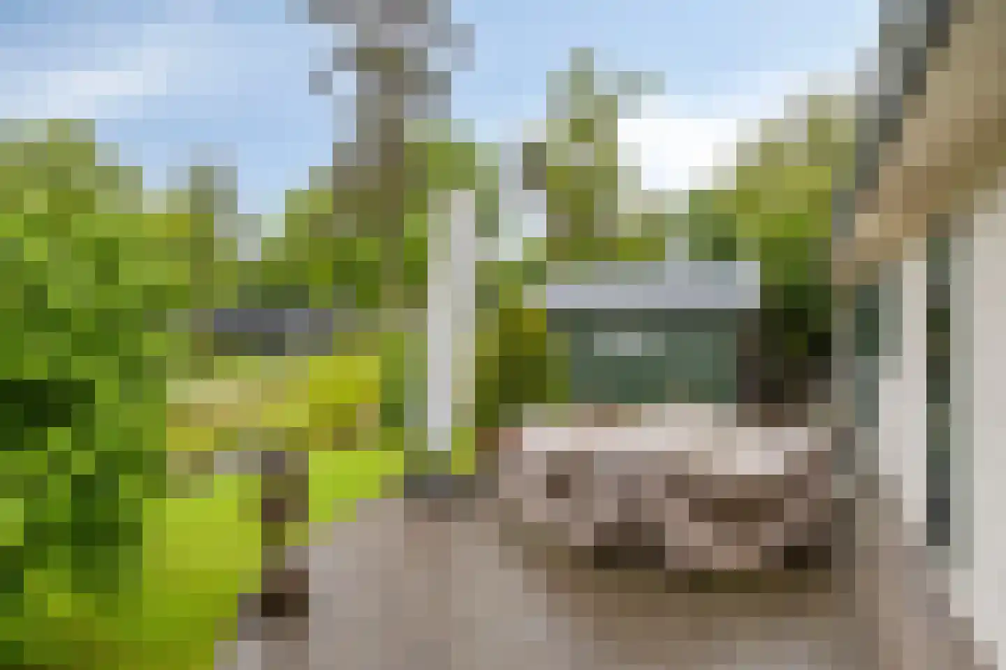 Potdijk 8 C007 Markelo thumbnail 4