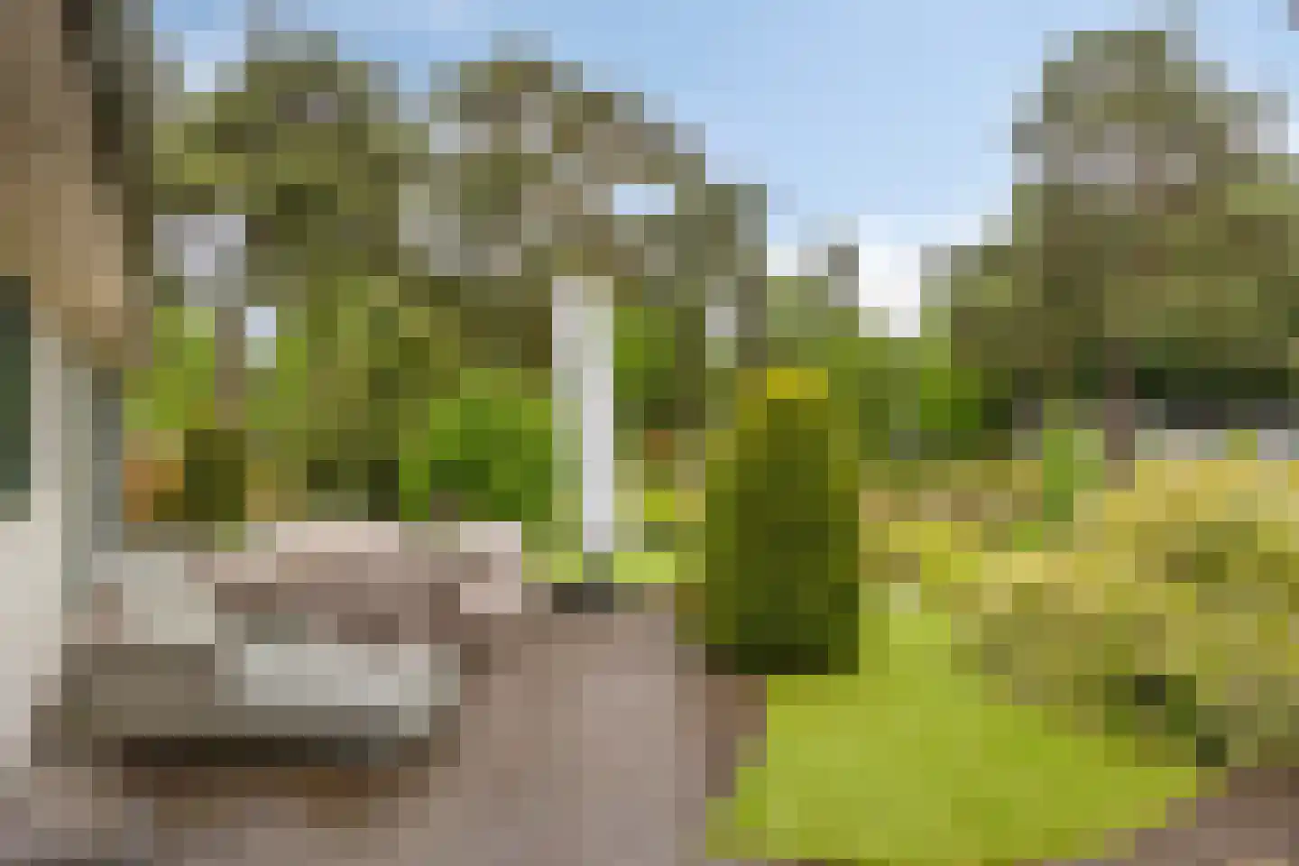 Potdijk 8 C007 Markelo thumbnail 5