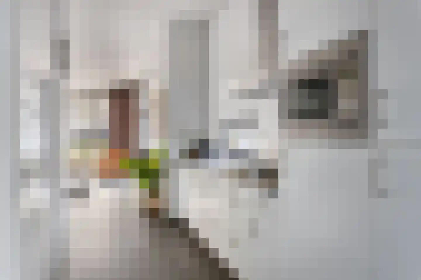 Potdijk 8 C018 Markelo thumbnail 7