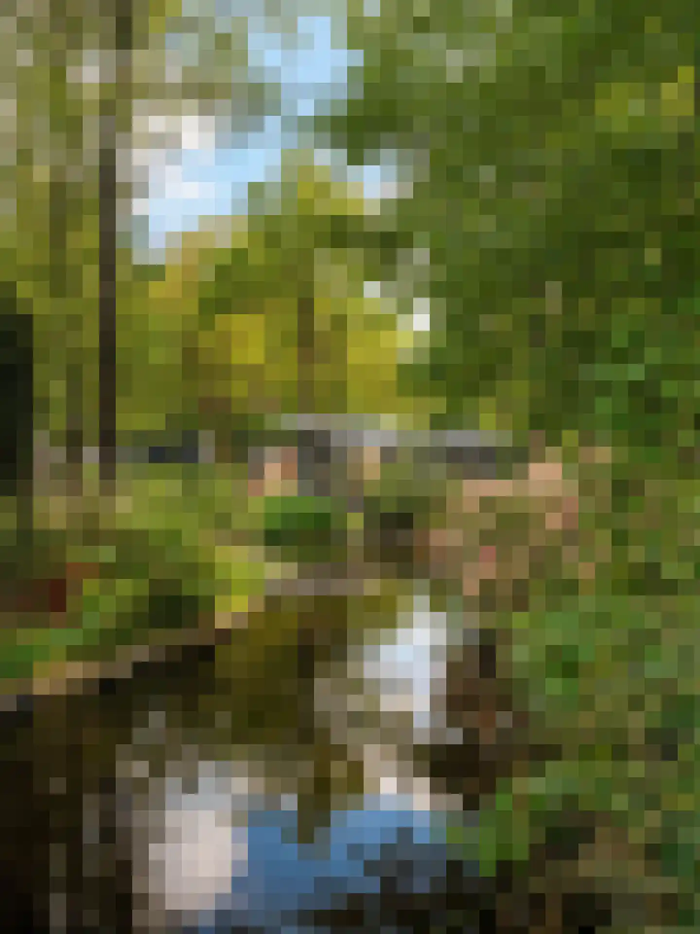 Potdijk 8 C038 Markelo foto 3
