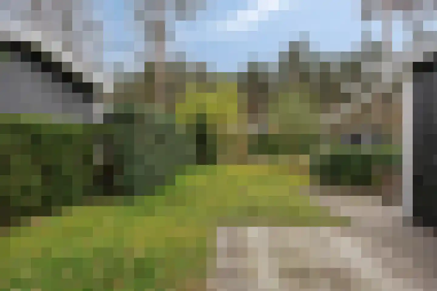 Potdijk 8 C046 Markelo thumbnail 21