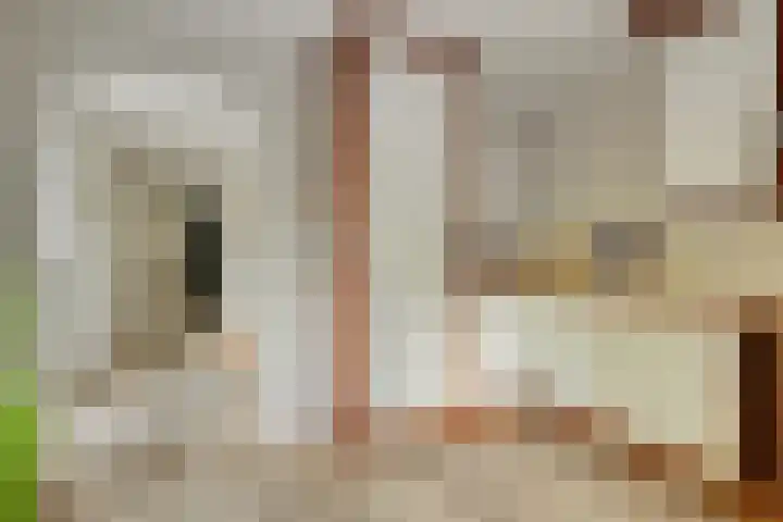Potdijk 8 D13 Markelo thumbnail 13