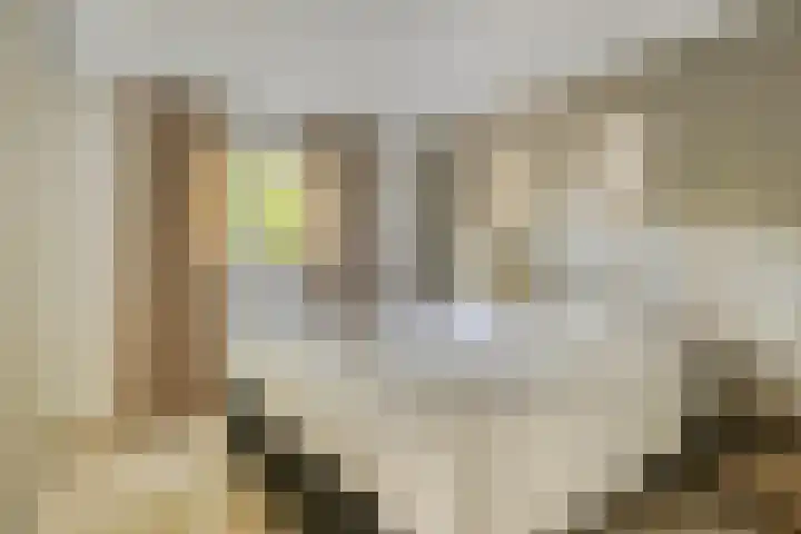 Potdijk 8 D13 Markelo thumbnail 19