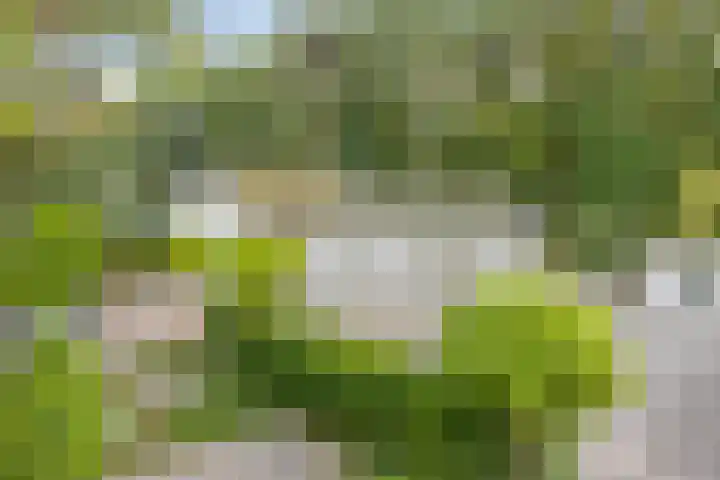 Potdijk 8 D13 Markelo thumbnail 26