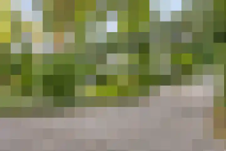 Potdijk 8 D13 Markelo thumbnail 32