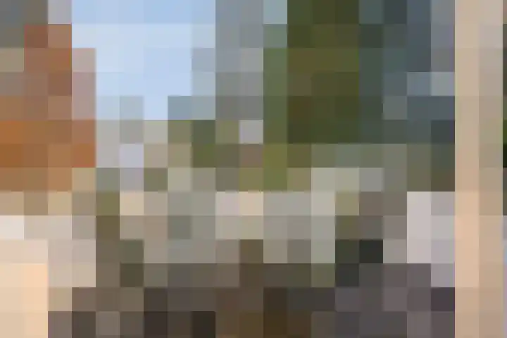 Potdijk 8 D2 Markelo thumbnail 24