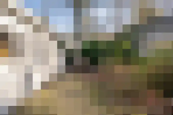 Potdijk 8 D2 Markelo thumbnail 27
