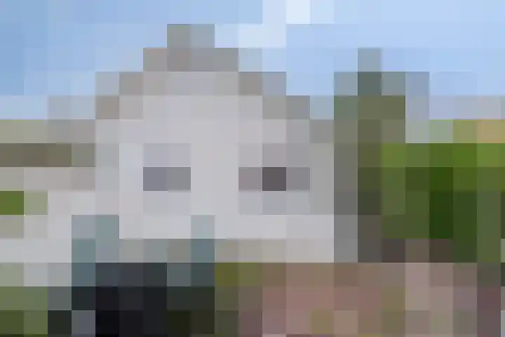 Potdijk 8 D2 Markelo thumbnail 28