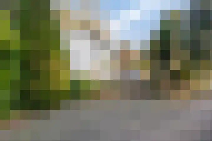 Potdijk 8 D2 Markelo thumbnail 33