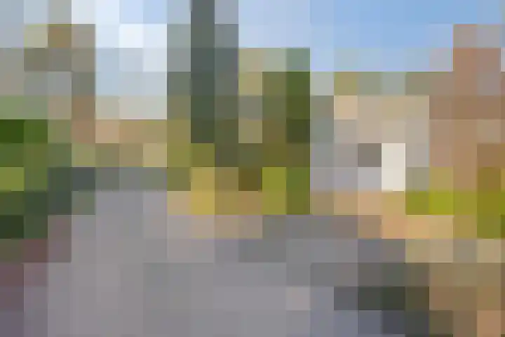 Potdijk 8 D2 Markelo thumbnail 34