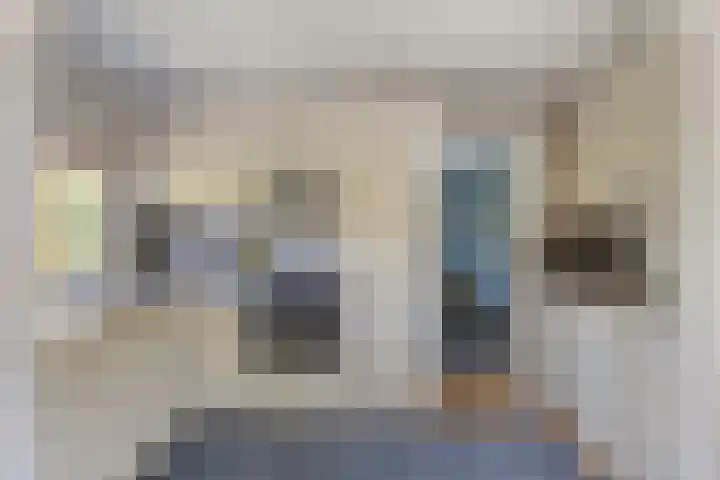 Potdijk 8 D24 Markelo thumbnail 19