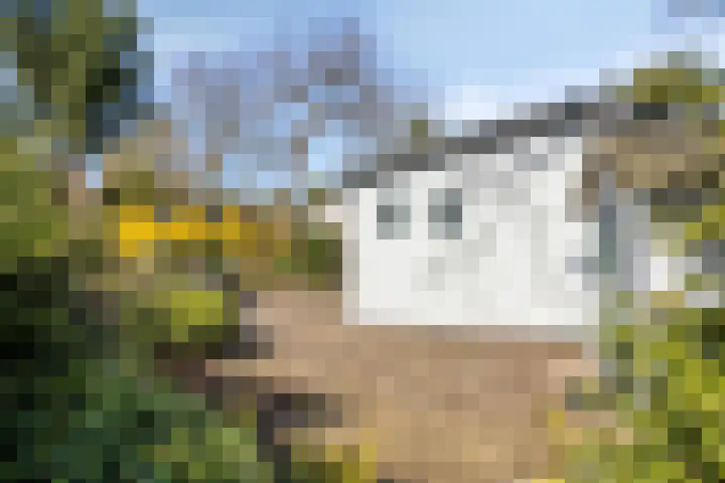 Potdijk 8 D24 Markelo thumbnail 31