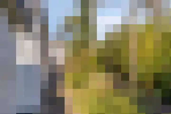 Potdijk 8 D24 Markelo thumbnail 32