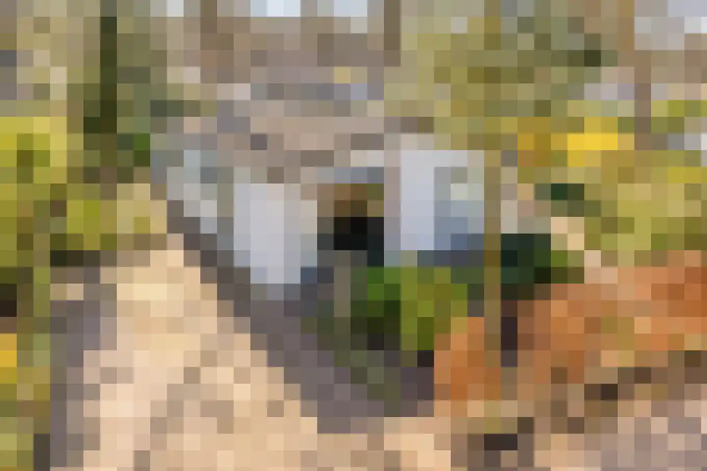Potdijk 8 D24 Markelo thumbnail 33
