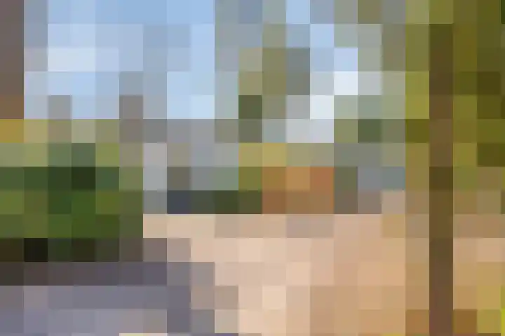 Potdijk 8 D24 Markelo thumbnail 34