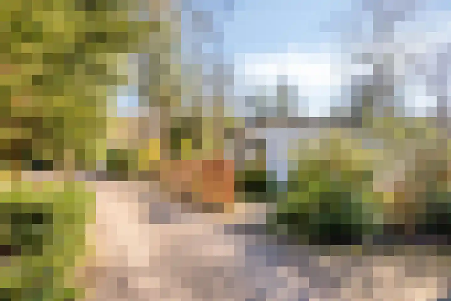 Potdijk 8 D24 Markelo thumbnail 35
