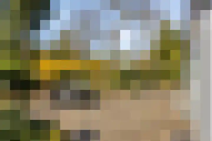 Potdijk 8 D24 Markelo thumbnail 4