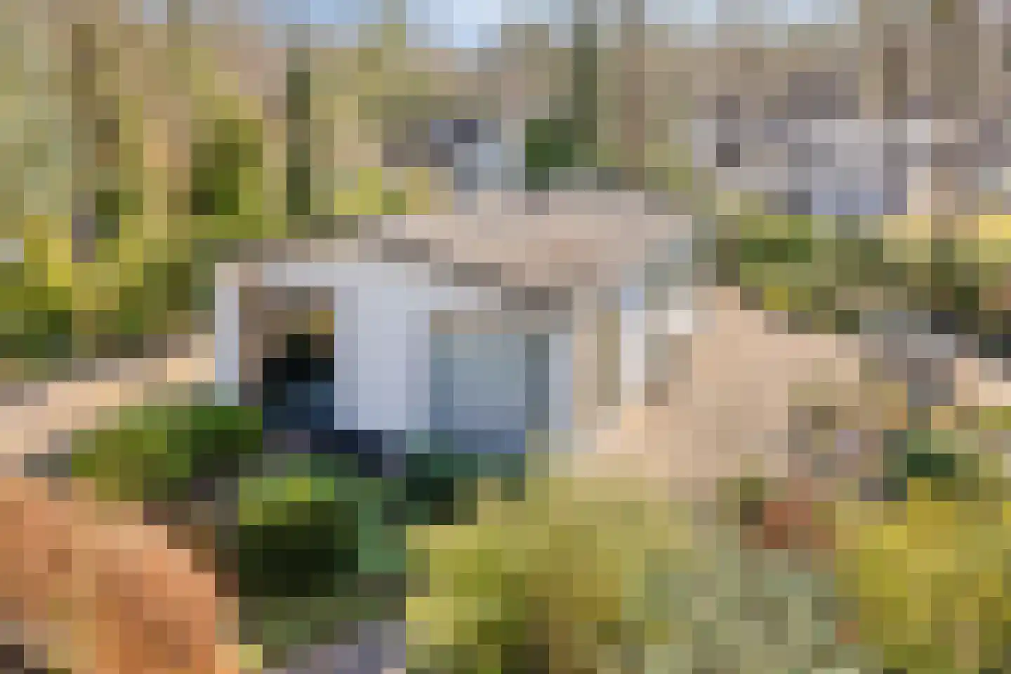 Potdijk 8 D24 Markelo thumbnail 5