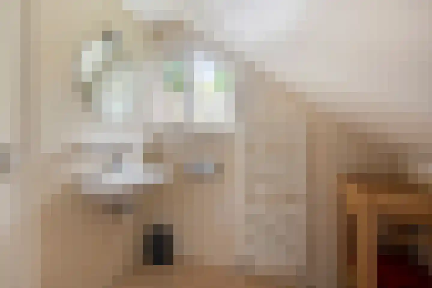 Potdijk 8 D28 Markelo thumbnail 22