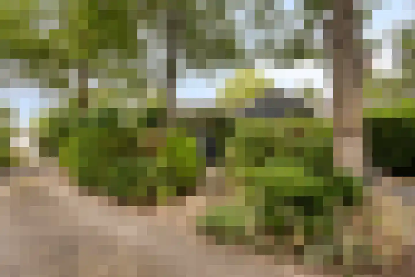 Potdijk 8 D28 Markelo thumbnail 31