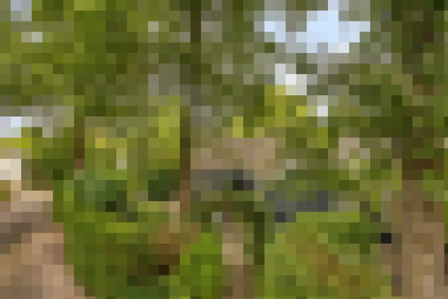 Potdijk 8 D28 Markelo thumbnail 34