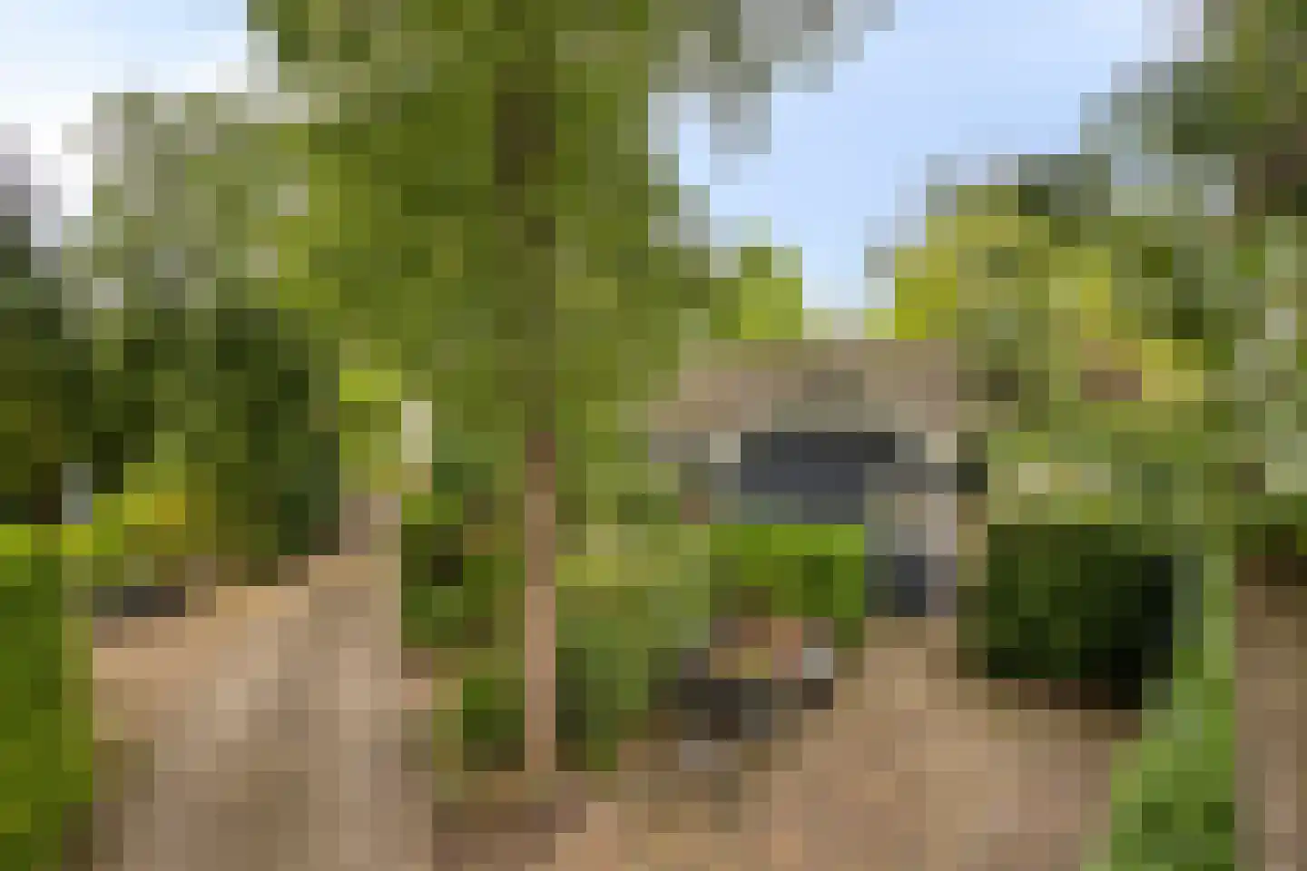 Potdijk 8 D28 Markelo thumbnail 36