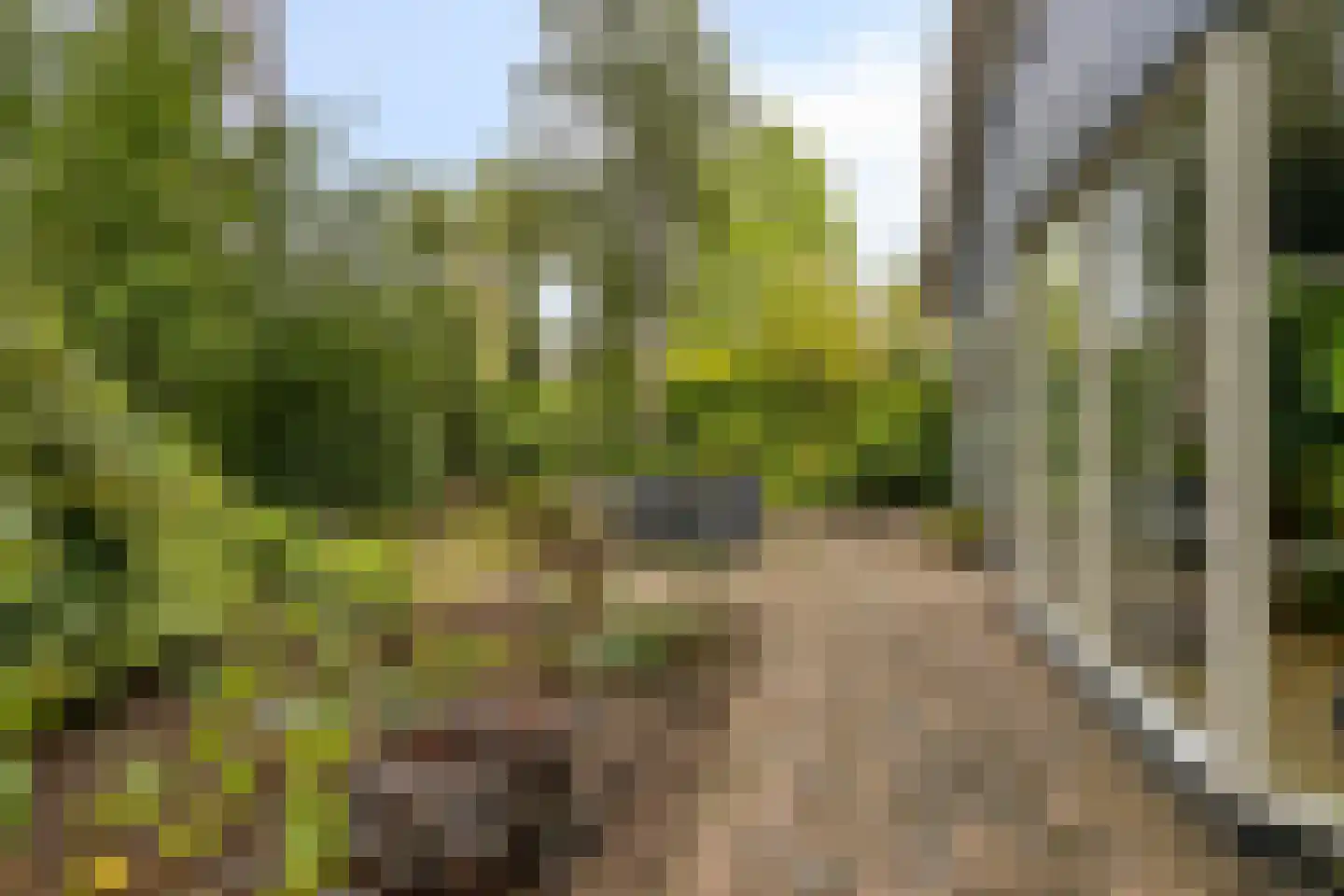 Potdijk 8 D28 Markelo thumbnail 4