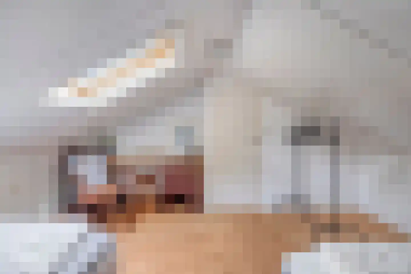Potdijk 8 D4 Markelo thumbnail 21