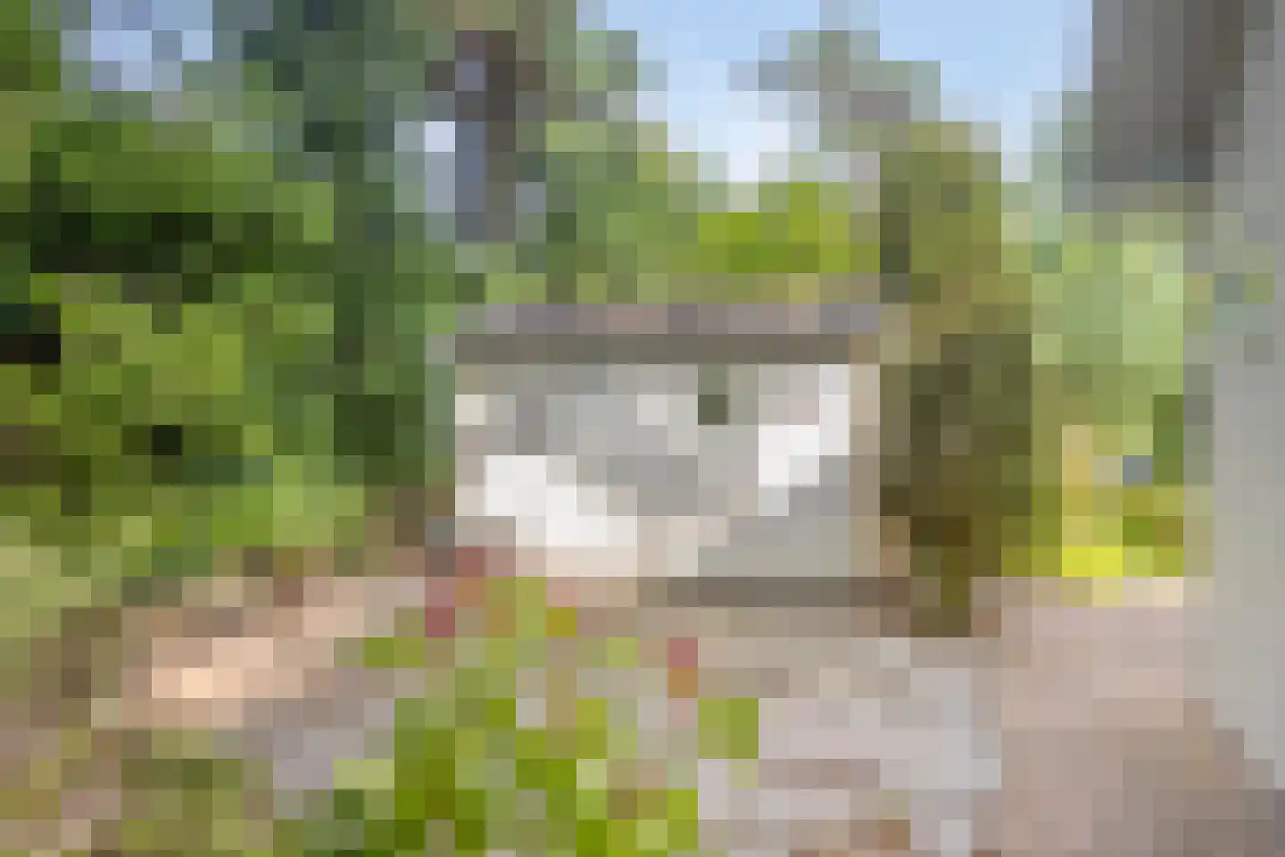 Potdijk 8 D4 Markelo thumbnail 24