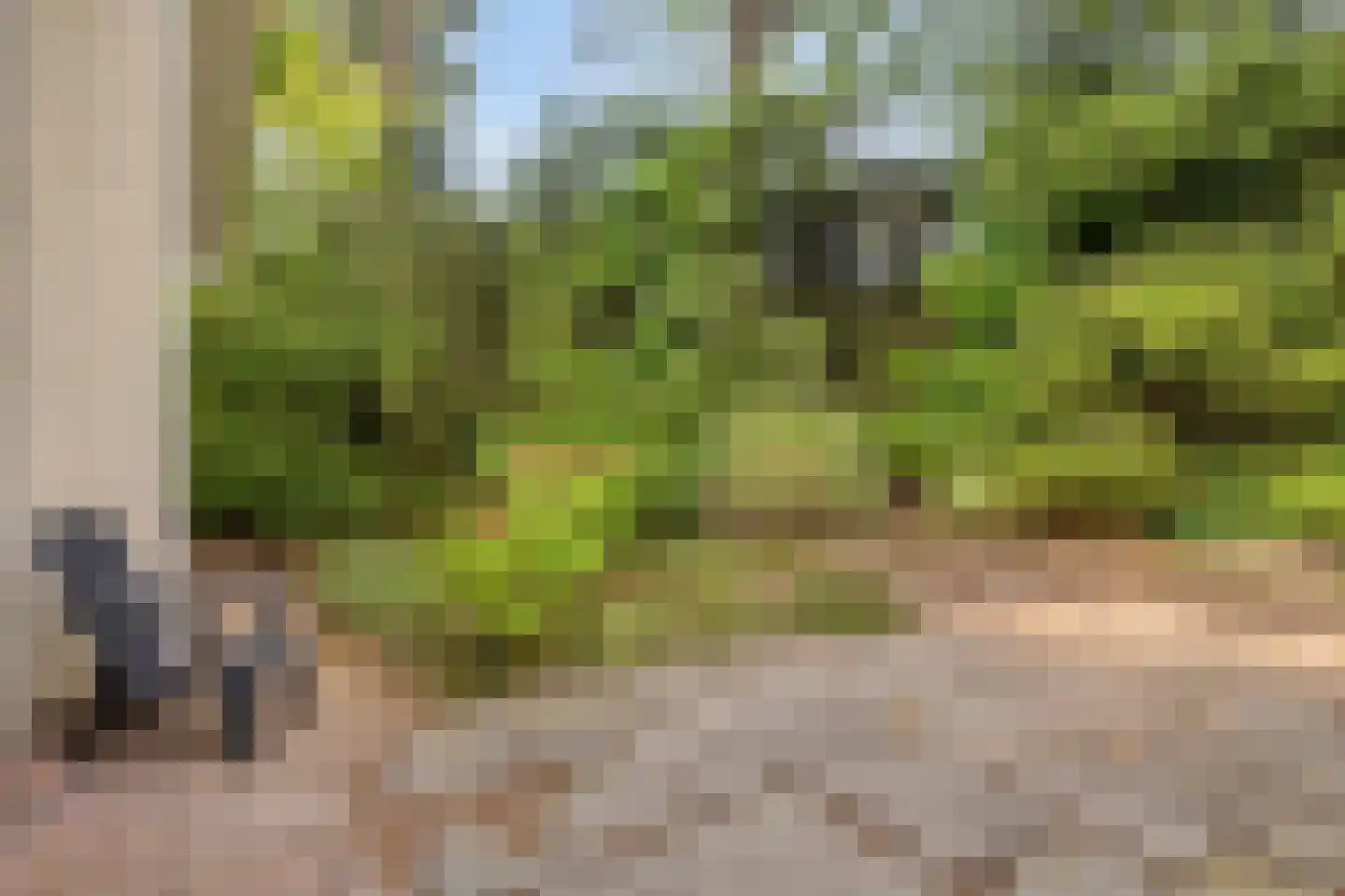 Potdijk 8 D4 Markelo thumbnail 25