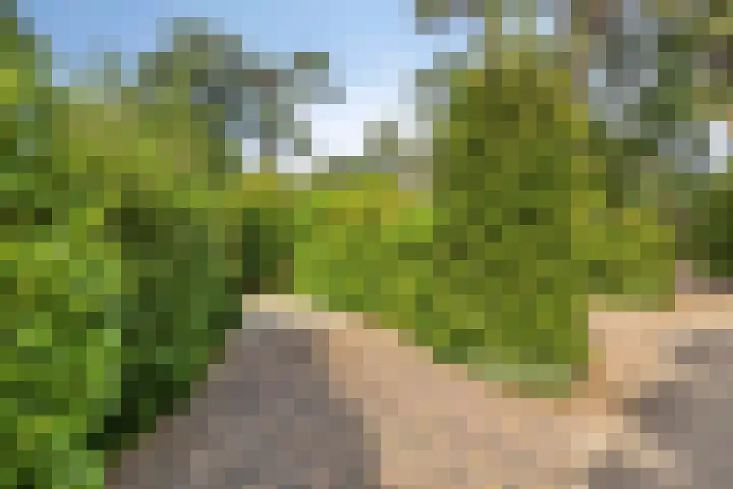 Potdijk 8 D4 Markelo thumbnail 31