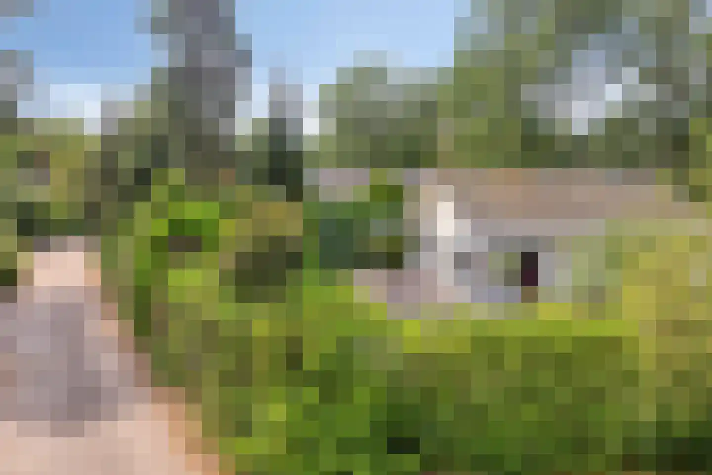 Potdijk 8 D4 Markelo thumbnail 33