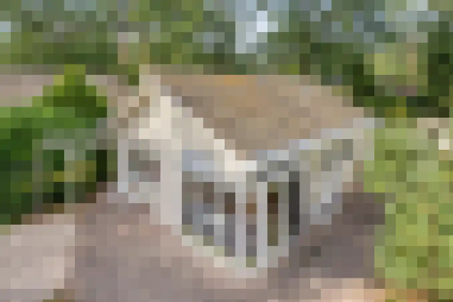 Potdijk 8 D4 Markelo thumbnail 4