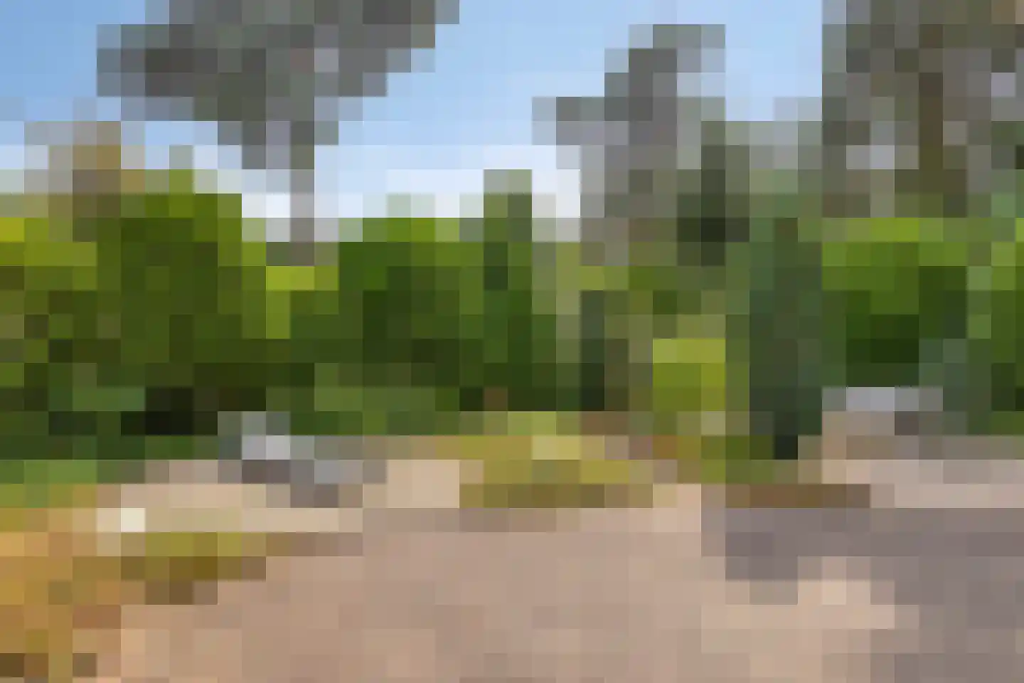 Potdijk 8 D4 Markelo thumbnail 5