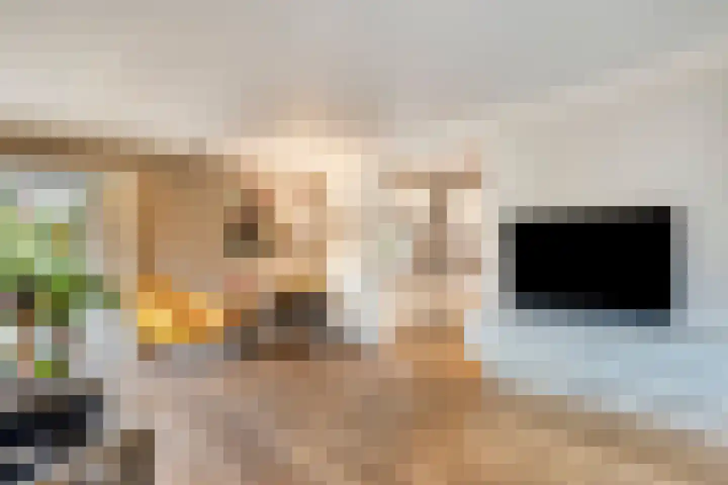 Potdijk 8 E1 Markelo thumbnail 18