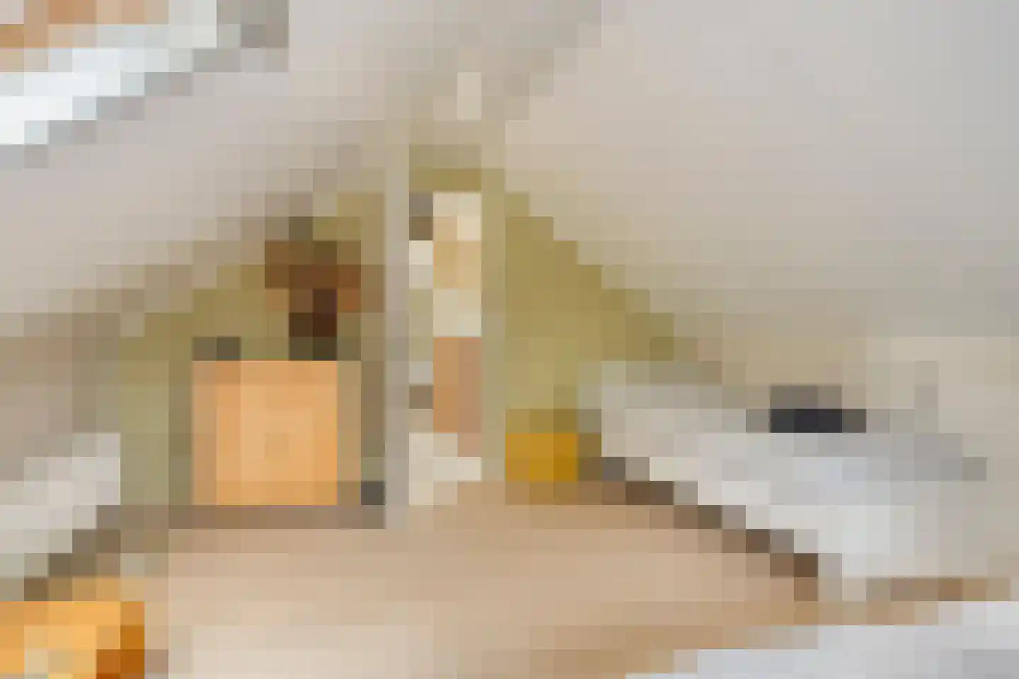 Potdijk 8 E1 Markelo thumbnail 33