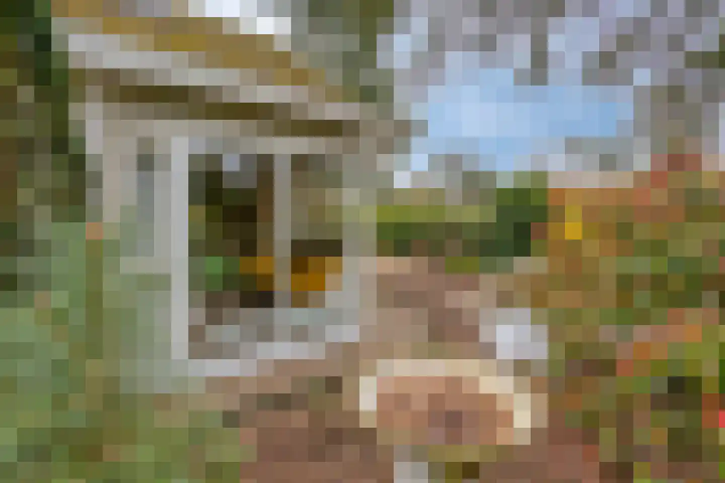 Potdijk 8 E1 Markelo thumbnail 4