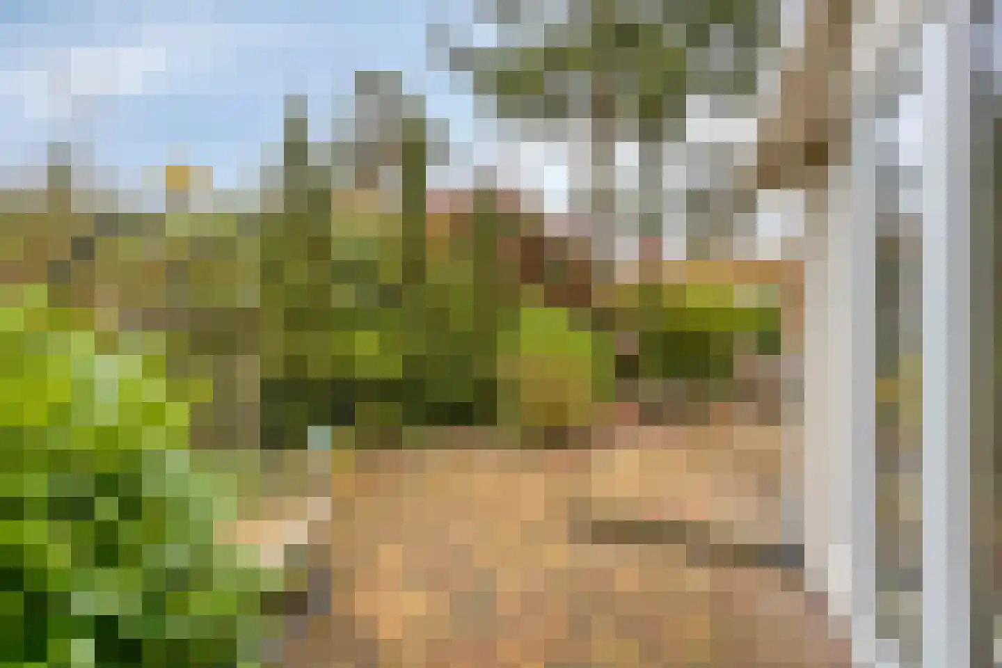 Potdijk 8 E1 Markelo thumbnail 40